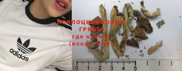 МДМА Белокуриха