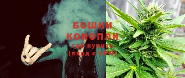 первитин Белоозёрский